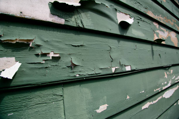 Best Wood Siding Installation  in Wofford Heights, CA