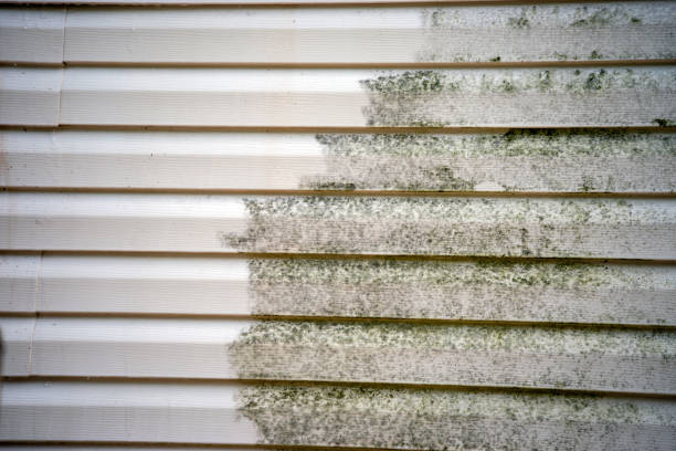Best Stucco Siding  in Wofford Heights, CA