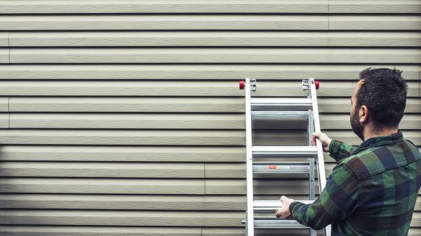 Best Brick Veneer Siding  in Wofford Heights, CA