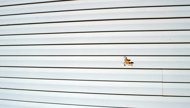 Best Composite Siding  in Wofford Heights, CA